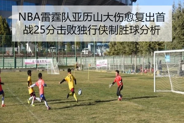lei-ting-dui-ya-li-shan-da-shang-yu-fu-chu-shou-zhan-fen-ji-bai-du-xing-xia-zhi-sheng-qiu-fen-xi-3-293.jpg